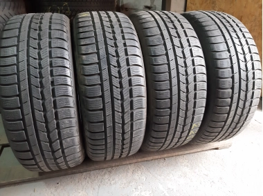 Nexen Winguard Sport      //  ..  .. 225/55R 17
