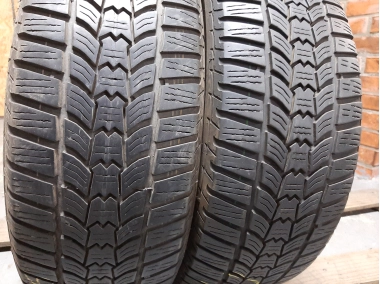 Sava Eskimo HP2 205/60R 16