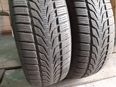 Points Winterstar 4 195/65R 15