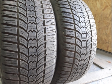 Sava Eskimo HP 2 215/55R 17
