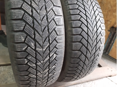Giti Gitiwinter W1 195/65R 15
