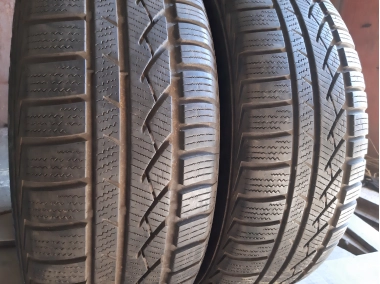 Continental Conti Winter Contact TS 810  . .. .. 205/60R 16