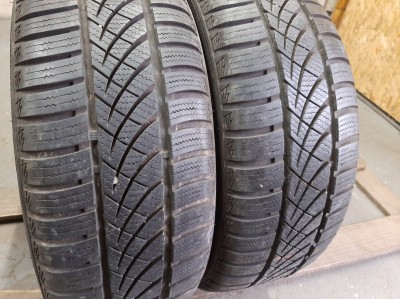 Platin RP 100 Allseason 195/55R 15