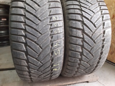 Dunlop WinterSport M3    ../ 255/45R 17